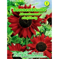 Saatgut Sonnenblume Abendsonne ca. 30 Pflanzen