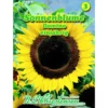 Saatgut Sonnenblume Domino ca. 25 Pflanzen