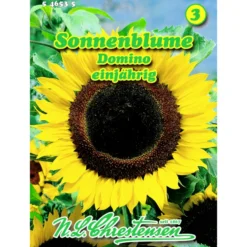 Saatgut Sonnenblume Domino ca. 25 Pflanzen