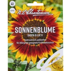 Saatgut Sonnenblume Shock-o-lat F1