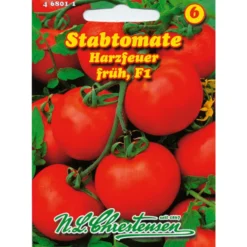 Saatgut Stabtomate Harzfeuer 3 Stück