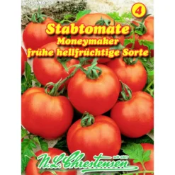 Saatgut Stabtomate Moneymaker ca. 25 Pflanzen