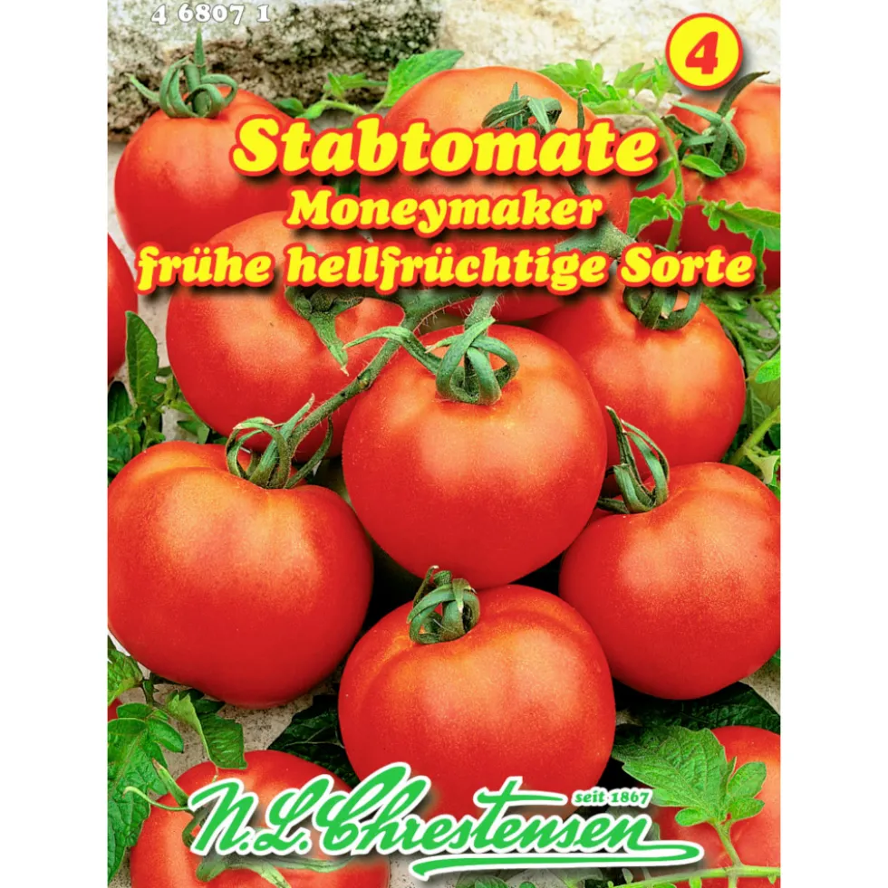 Saatgut Stabtomate Moneymaker ca. 25 Pflanzen