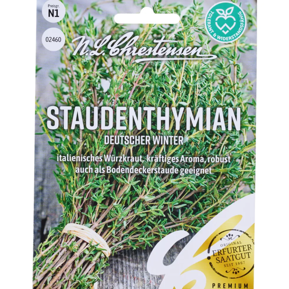 Saatgut Staudenthymian Deutscher Winter