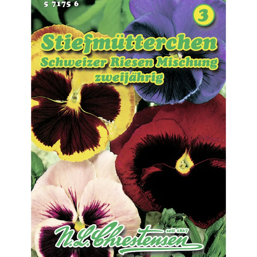 Saatgut Stiefmütterchen Mix ca. 80 Pflanzen