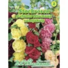 Saatgut Stockrosen gefüllt Mix ca. 25 Pflanzen