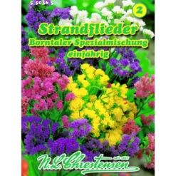 Saatgut Strandflieder Spezialmix ca. 60 Pflanzen