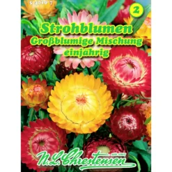 Saatgut Strohblumen-Mix großblumig ca. 100 Pflanzen