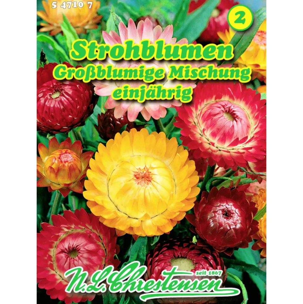 Saatgut Strohblumen-Mix großblumig ca. 100 Pflanzen