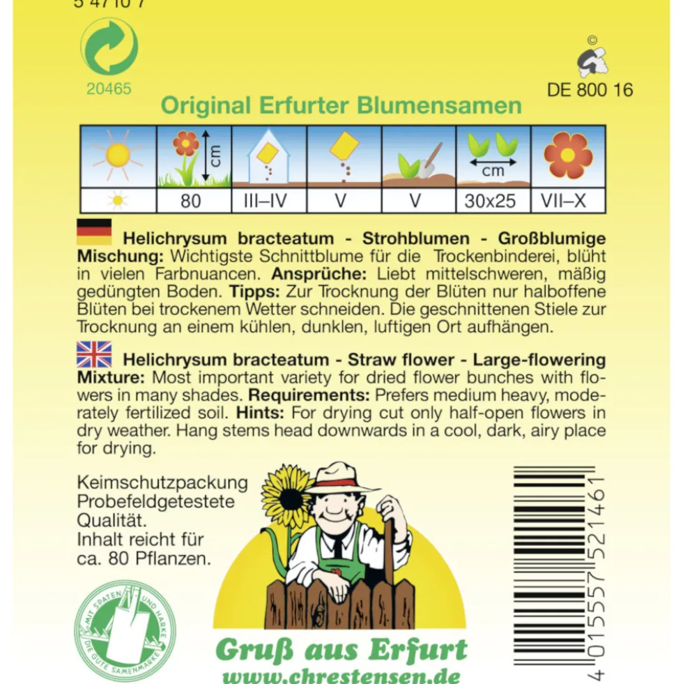 Saatgut Strohblumen-Mix großblumig ca. 100 Pflanzen