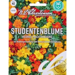 Saatgut Studentenblume