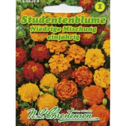 Saatgut Studentenblume Mix ca. 60 Pflanzen