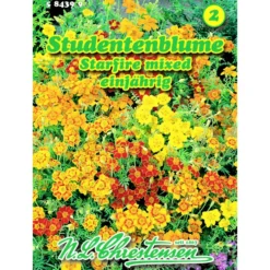 Saatgut Studentenblume Starfire-Mix ca. 45 Pflanzen