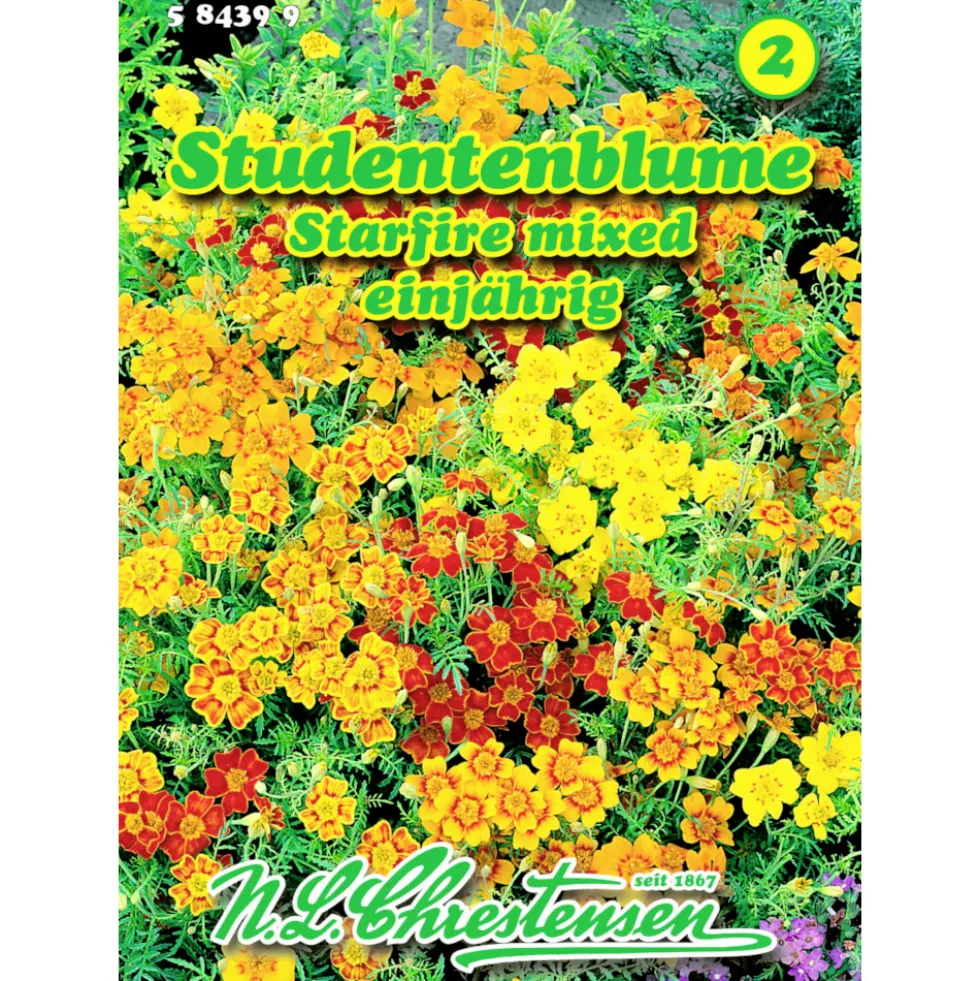 Saatgut Studentenblume Starfire-Mix ca. 45 Pflanzen