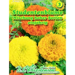 Saatgut Studentenblume Tagetes Mix ca. 60 Pflanzen