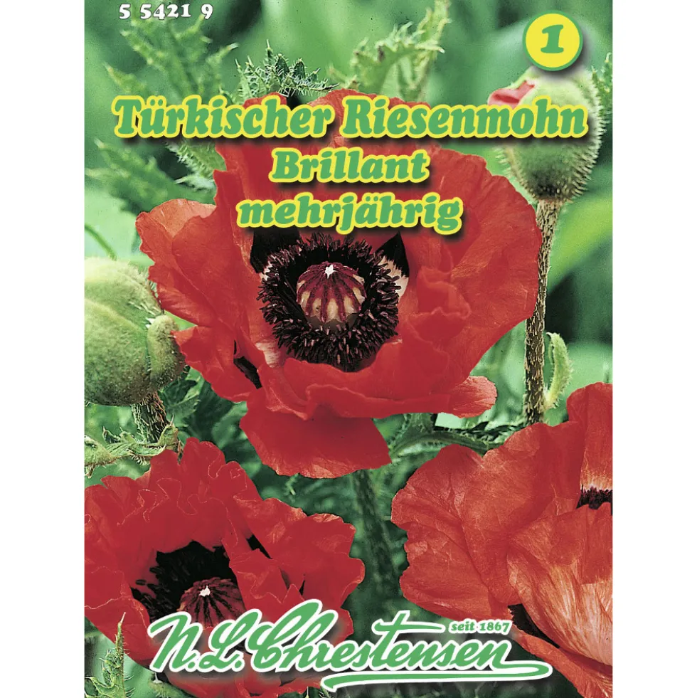 Saatgut Türkischer Riesenmohn ca. 100 Pflanzen