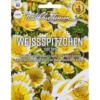 Saatgut Weißspitzchen Tidy Tips