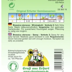 Saatgut Wirsingkohl Vorbote 3 ca. 120 Pflanzen