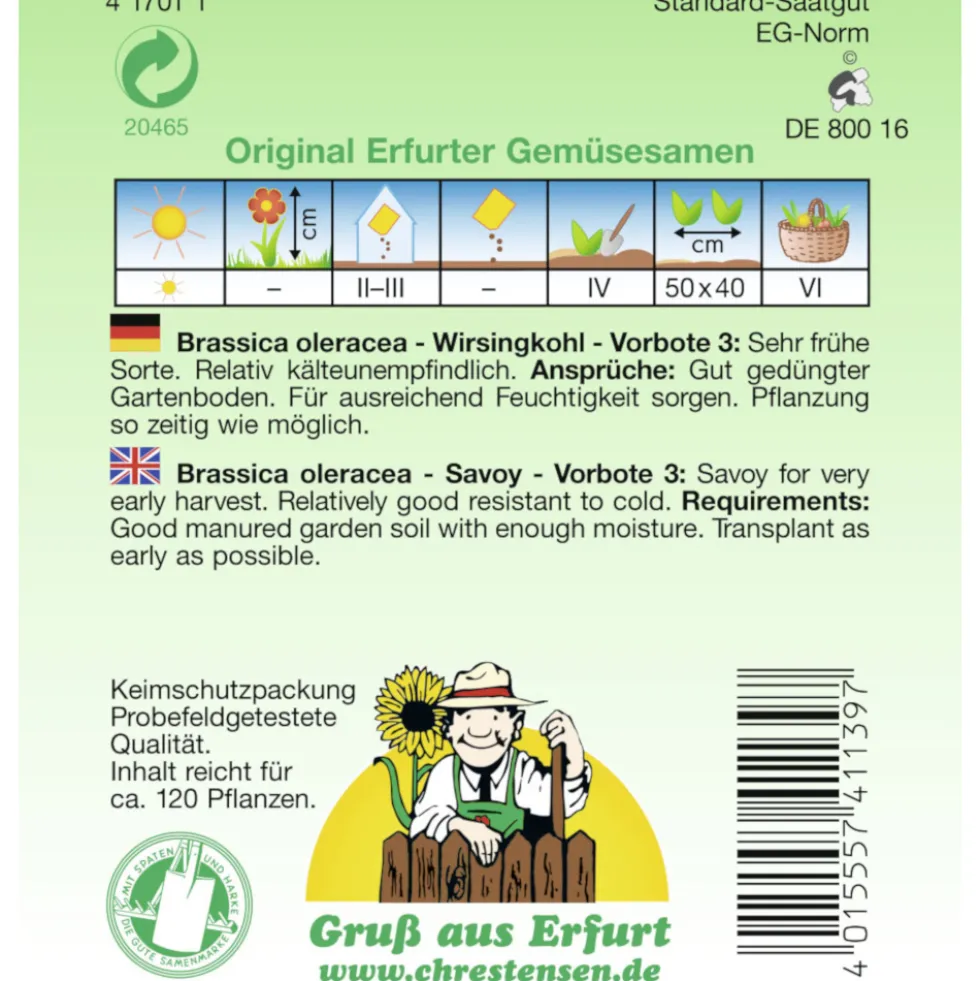 Saatgut Wirsingkohl Vorbote 3 ca. 120 Pflanzen