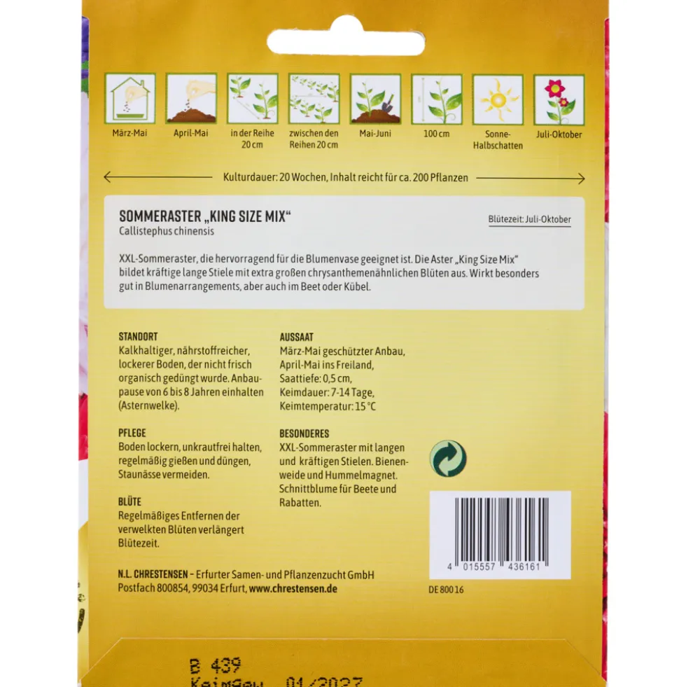 Saatgut XXL Sommeraster King Size Mix