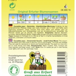 Saatgut Zierkürbis Mix ca. 20 Pflanzen