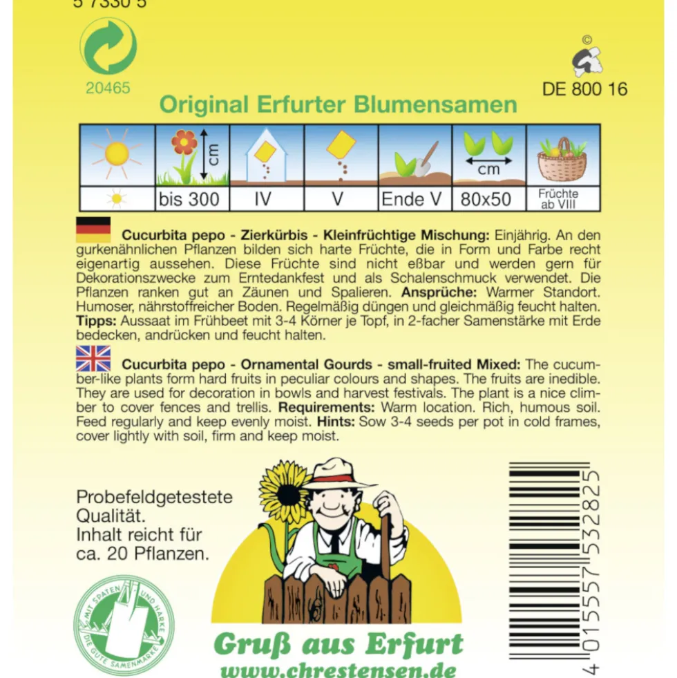 Saatgut Zierkürbis Mix ca. 20 Pflanzen