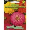 Saatgut Zinnie kalifornische Riesen Mix ca. 70 Pflanzen