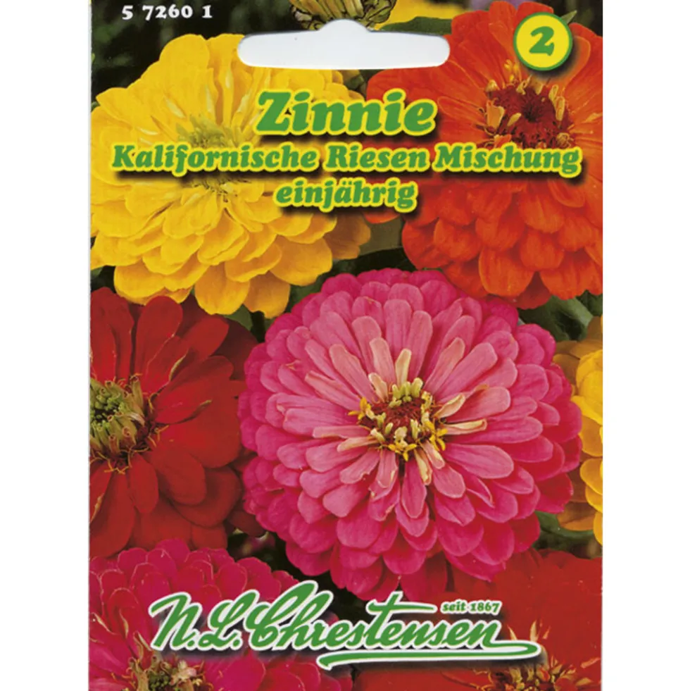 Saatgut Zinnie kalifornische Riesen Mix ca. 70 Pflanzen