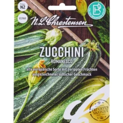 Saatgut Zucchini Romanesco