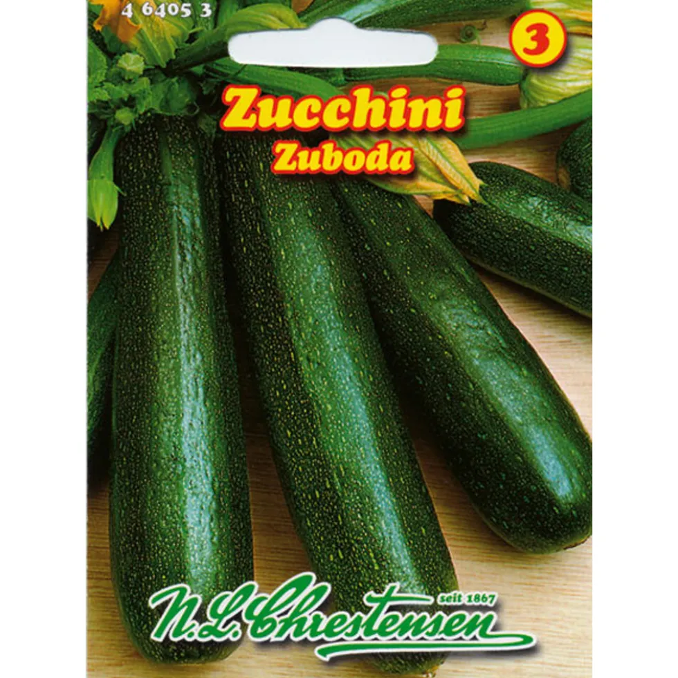 Saatgut Zucchini Zuboda ca. 5 Pflanzen