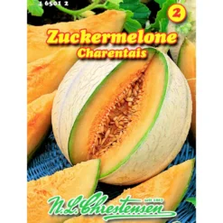 Saatgut Zuckermelone Charentais ca. 5-6 Pflanzen