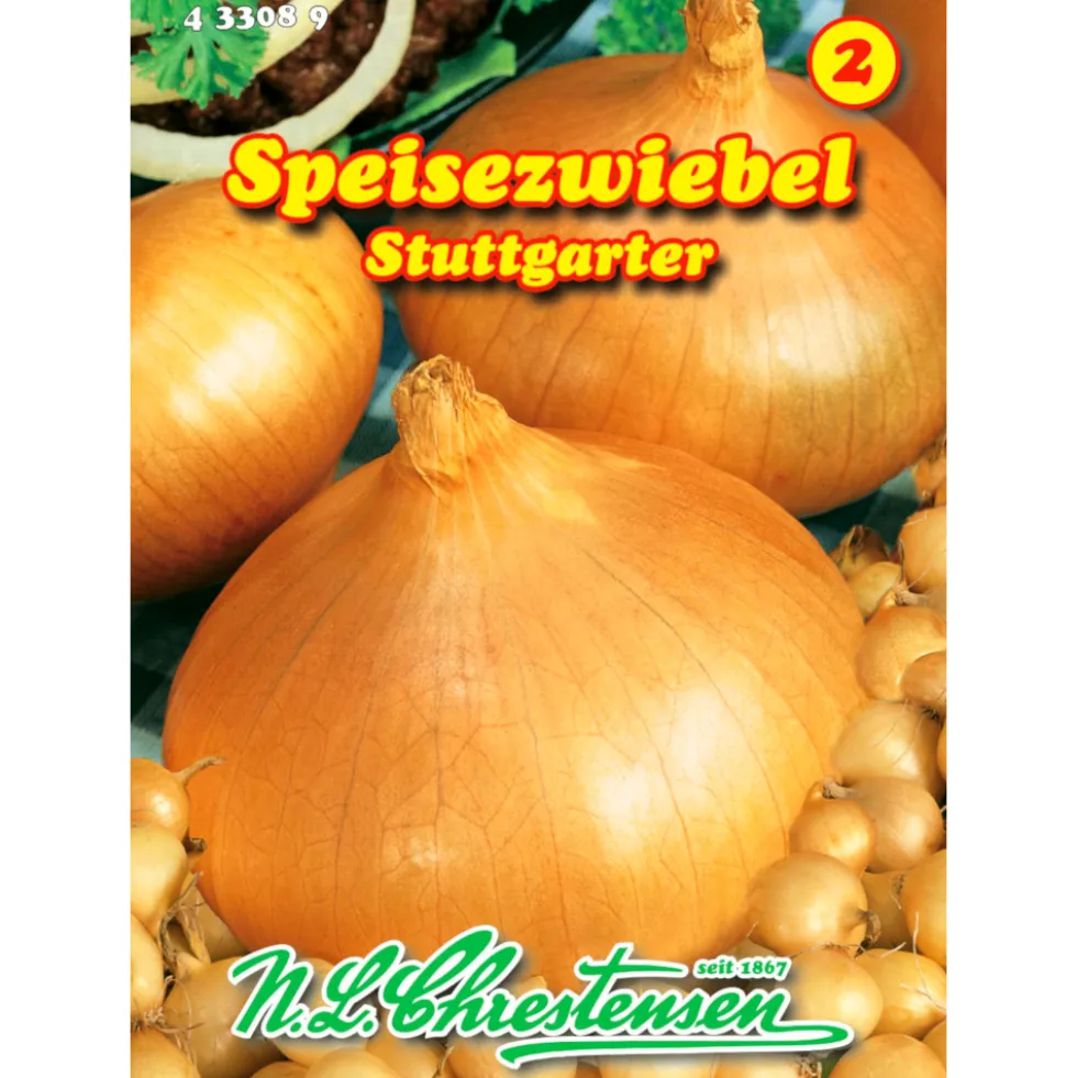 Saatgut Zwiebel Stuttgarter Riesen ca. 25 m²