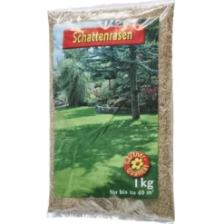 Schattenrasen Samen 1 kg Saatgut für 40 m² Rasenfläche