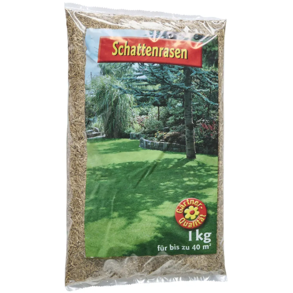 Schattenrasen Samen 1 kg Saatgut für 40 m² Rasenfläche