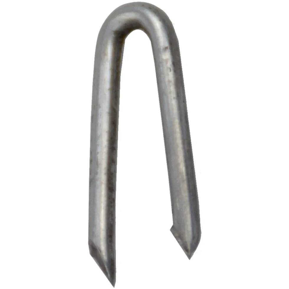 Schlaufennägel 2,5 x 25mm 2,5 kg Pack
