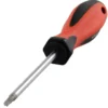 Schraubendreher S2 TX T25 100 mm