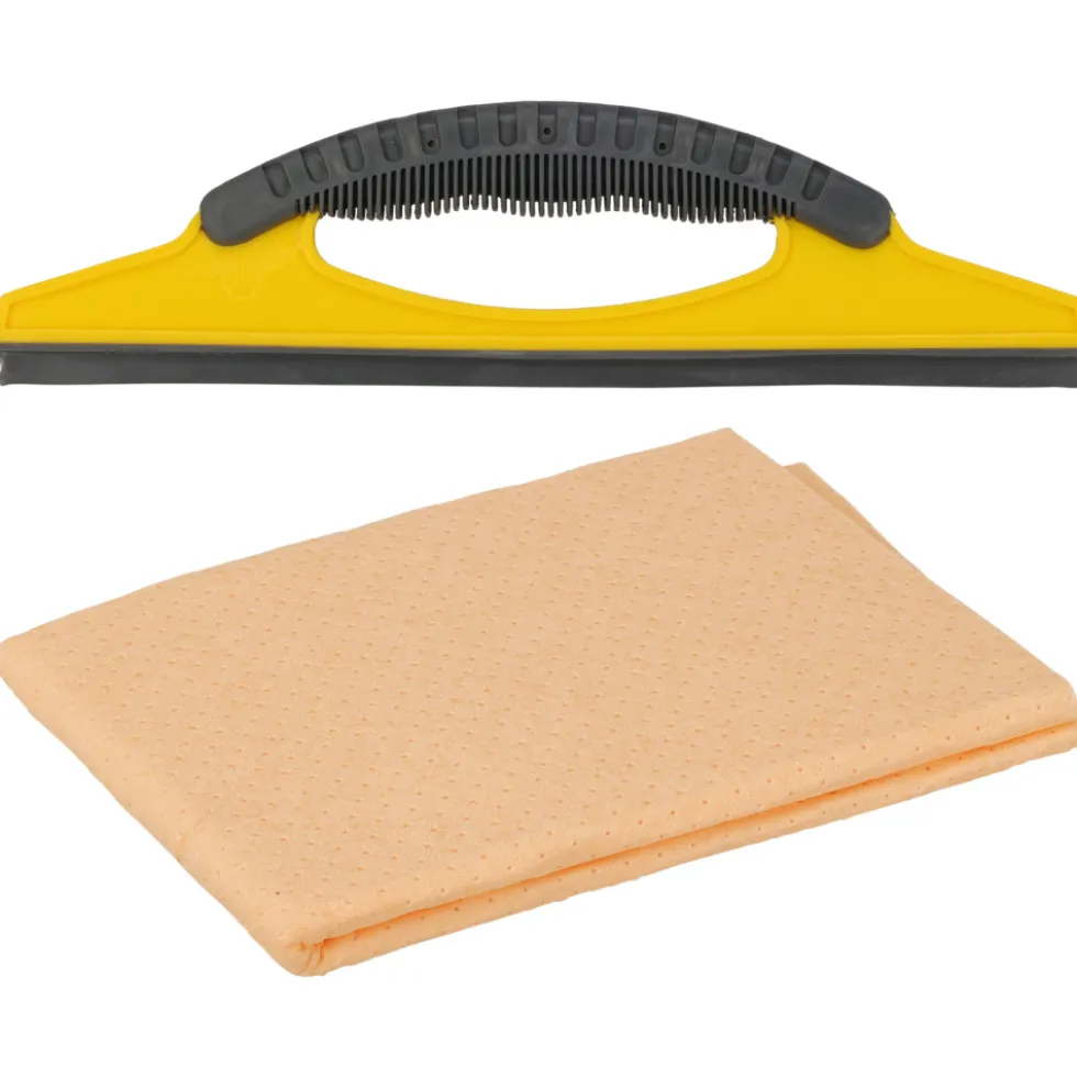 Shell Auto-Reinigungsset 2-teilig