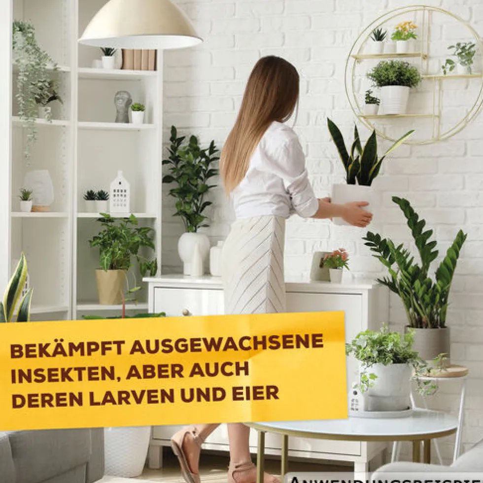 Solabiol® Bio Spinnmilben‑ & Schädlingsfrei 500 ml
