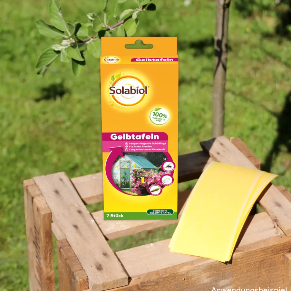 Solabiol Kombi Gelbtafeln 7 Stück
