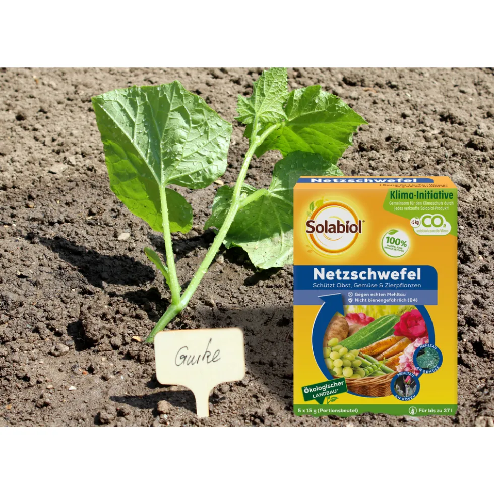 Solabiol® Netzschwefel gegen Mehltau 75g
