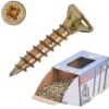Spanplattenschraube 3,0x16 mm PZ 1kg FISHBULL-Pack Senkkopf Vollgewinde Kreuzschlitz