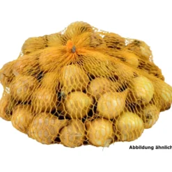 Steckzwiebeln "Stuttgarter Riesen" 400 g