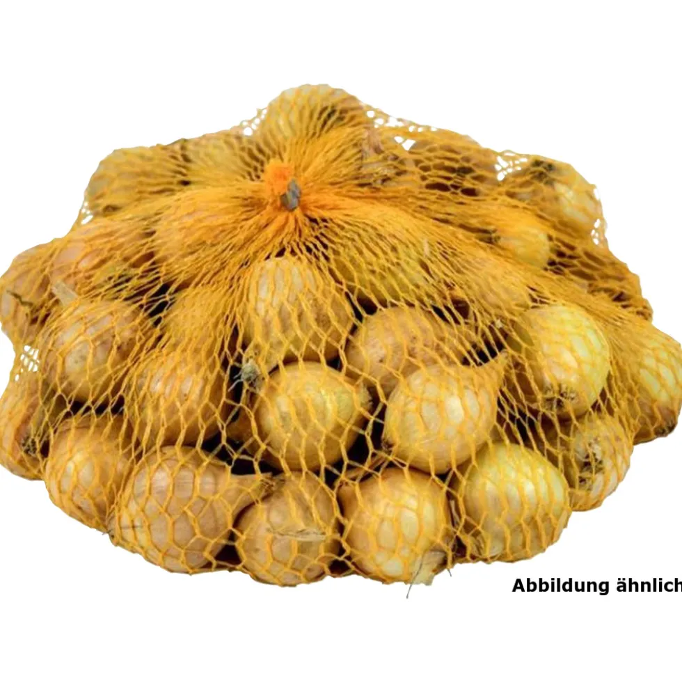 Steckzwiebeln "Stuttgarter Riesen" 400 g