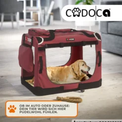 Tiertransportbox M 60 x 42 x 44 cm dunkelrot