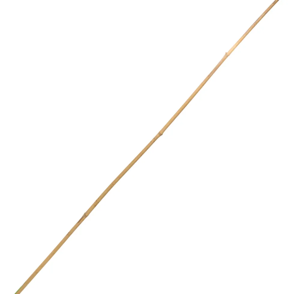 Tonkinstab 180 cm aus Bambus