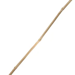 Tonkinstab 180 cm aus Bambus