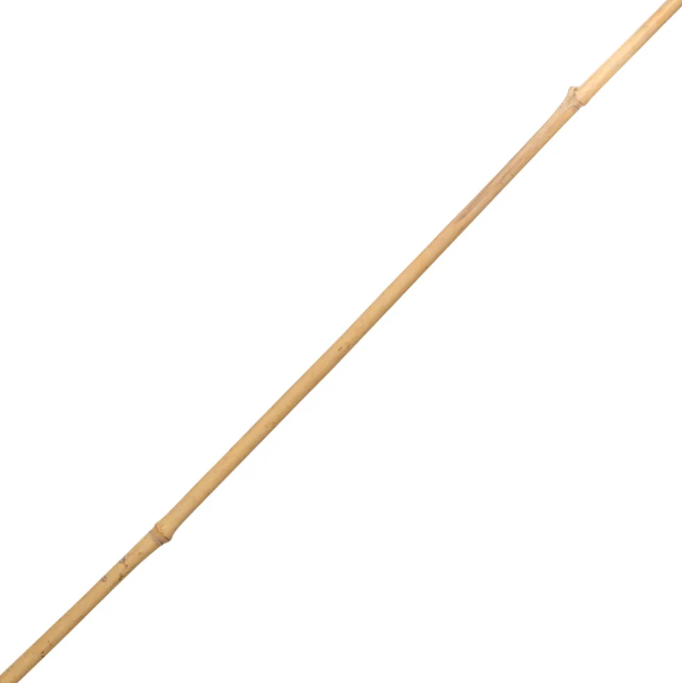 Tonkinstab 150 cm aus Bambus