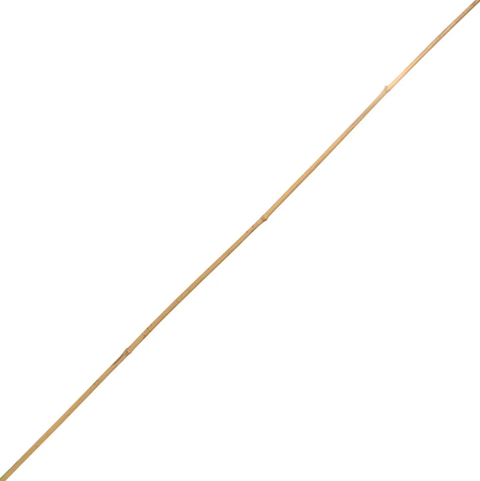 Tonkinstab 150 cm aus Bambus
