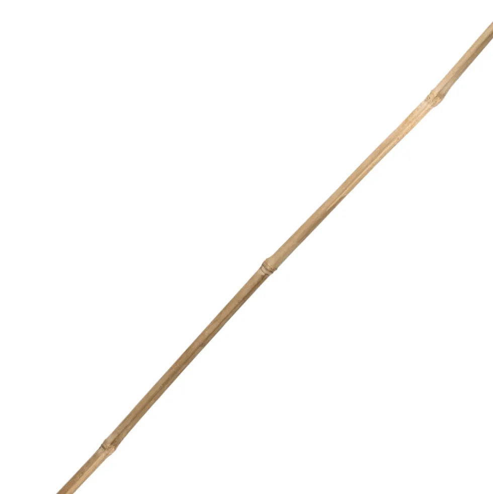 Tonkinstab 75 cm aus Bambus