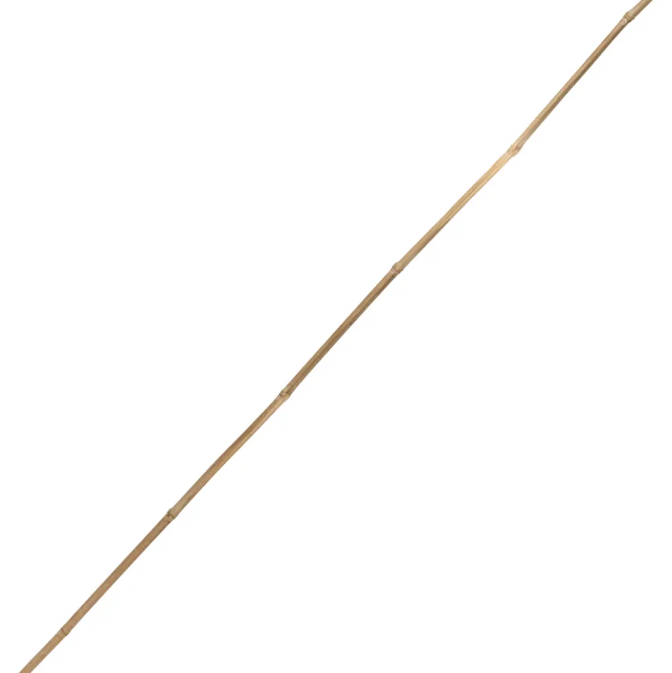 Tonkinstab 75 cm aus Bambus